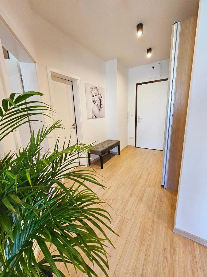 2 Room Apartment, New Building, Bosakova Street, 29 براتسيلافا المظهر الخارجي الصورة